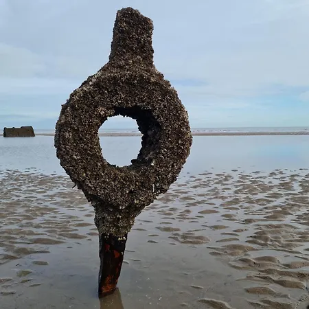 Brigg View Lejlighed