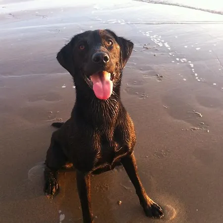 Brigg View Lejlighed Filey